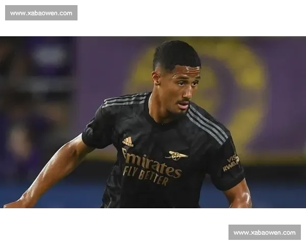 壁画修复师卡洛斯:用防涂鸦涂层守护毕巴冠军荣耀 壁画修复师卡洛斯:用防涂鸦涂层守护毕巴冠军荣耀